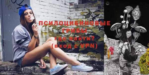 ECSTASY Алзамай