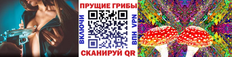 Галлюциногенные грибы прущие грибы  где купить наркоту  Переславль-Залесский 