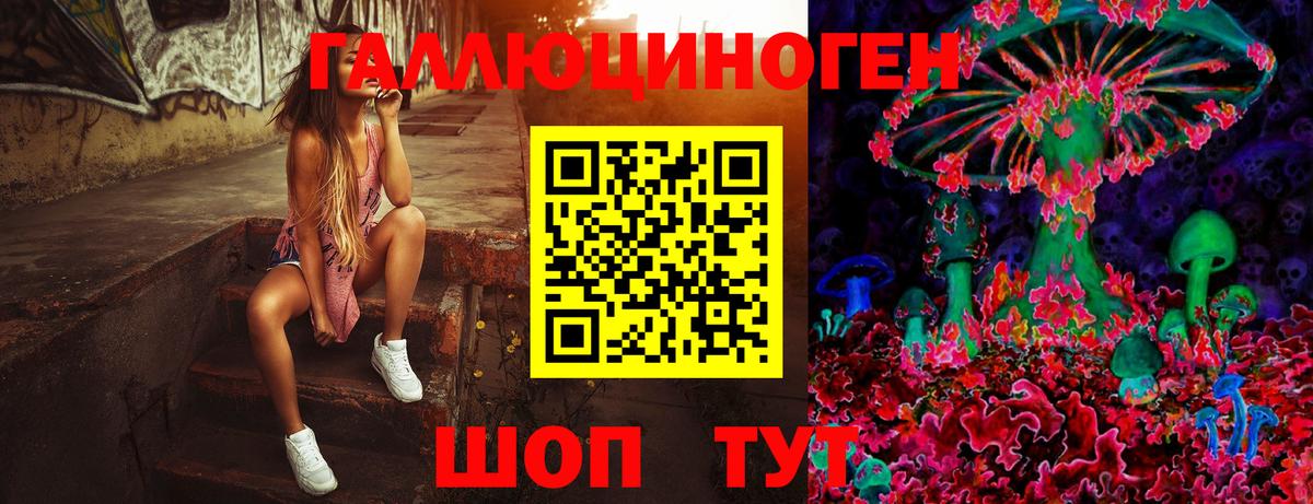 Псилоцибиновые грибы мухоморы Переславль-Залесский